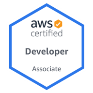 Developer Associate Developer Associate