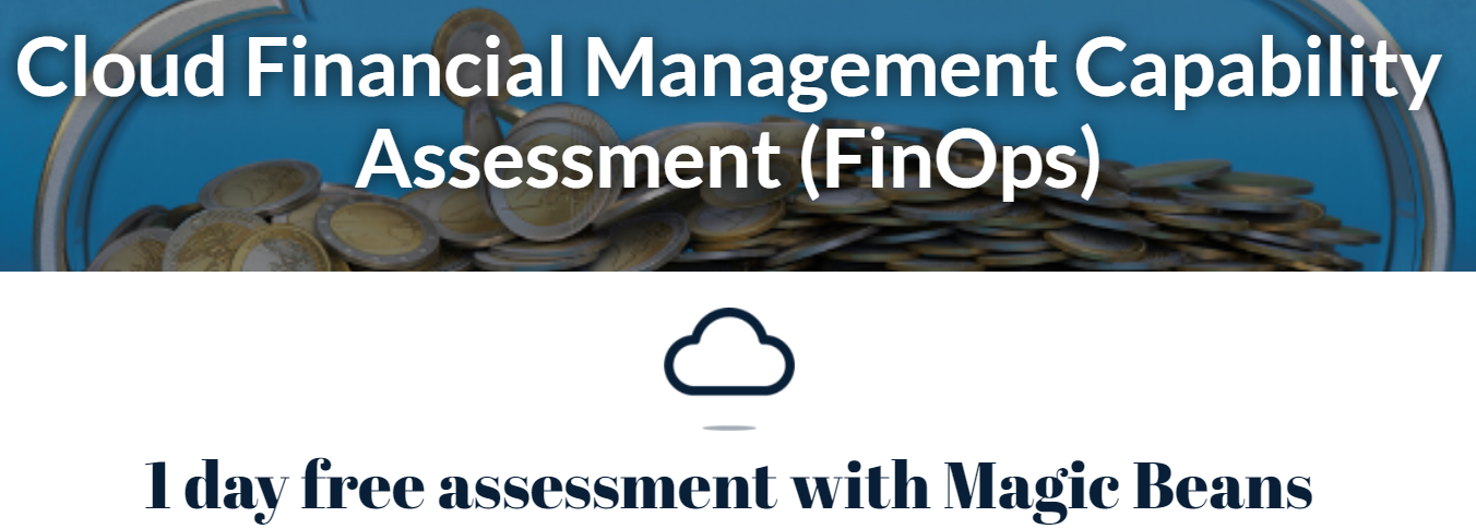 Cloud Financial Management Capability Assessment FinOps (website)