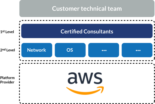 Managed Services Technical Team Levels (aws)