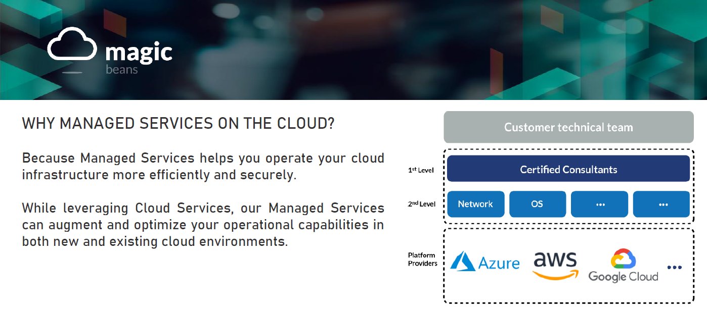 Multicloud Managed Services (website)